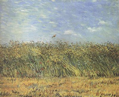 Vincent Van Gogh Wheat Field with a Lark (nn04) China oil painting art